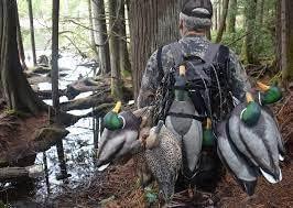 imageQOGIR Magnetic Shell Pickup Pole Collapsable Shell Retriever Extends Up to 56ft Portable Shotgun Shell Magnetic Pickup Tool Shotgun Accessories Magnetic Grabber for Shotgun Shells and More